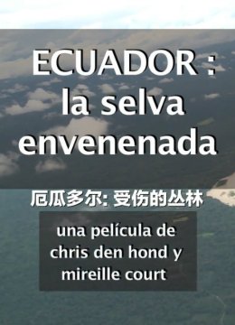 厄瓜多尔受伤的丛林
