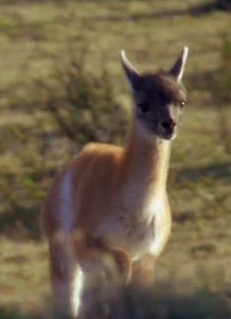 为跑而生的新生活