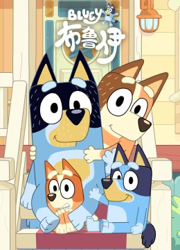 布鲁伊第3季国语配音