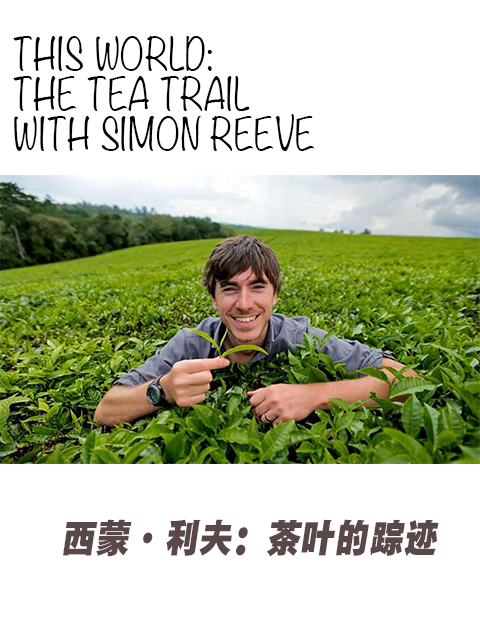 世界西蒙利夫茶叶的踪迹