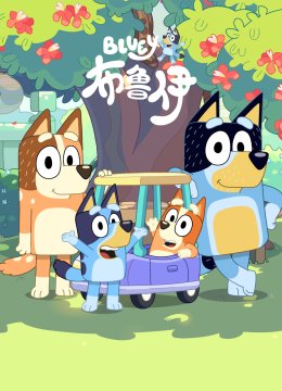 布鲁伊第2季国语配音