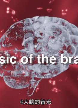 大脑的音乐