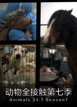 动物全接触第7季