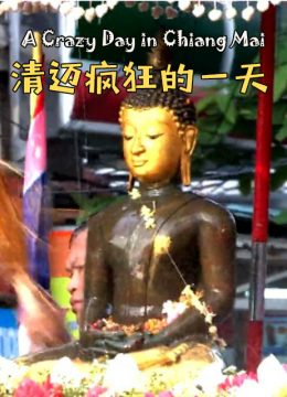 清迈疯狂的一天
