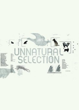非自然选择