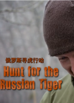 俄罗斯寻虎行动