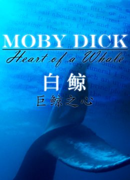 白鲸巨鲸之心