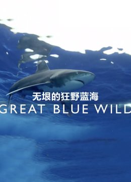 无垠的狂野蓝海第3季