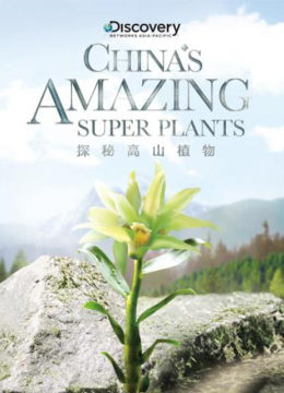 探秘高山植物