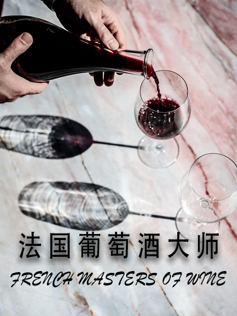 法国葡萄酒大师