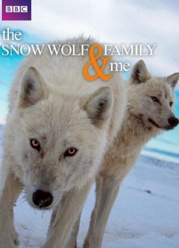 雪狼家庭和我