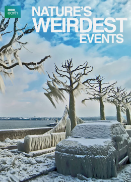 自然界最奇异的事件第2季