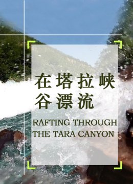 在塔拉峡谷漂流
