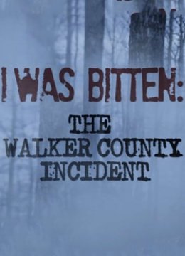 沃克郡神秘攻击事件