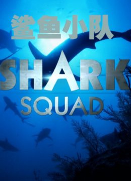 鲨鱼小队