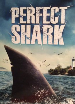 完美鲨鱼