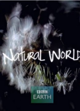 自然世界动物之家