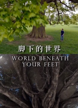 脚下的世界