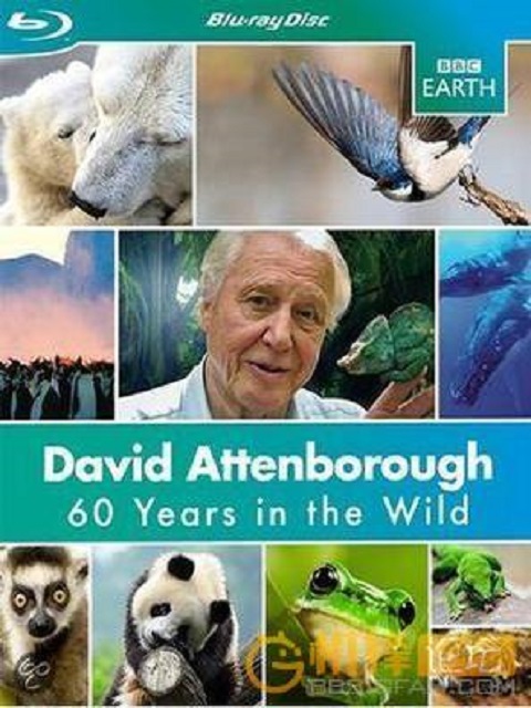 爱登堡探索自然60年