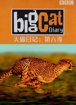 大猫日语记第6季