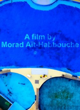 玛丽兰海洋公园