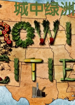 城中绿洲