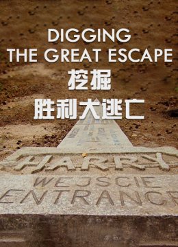 挖掘胜利大逃亡