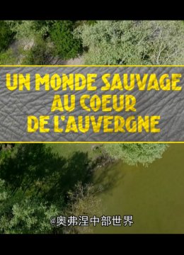 奥弗涅中部世界