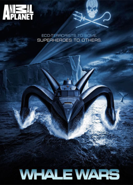 护鲸大战第4季
