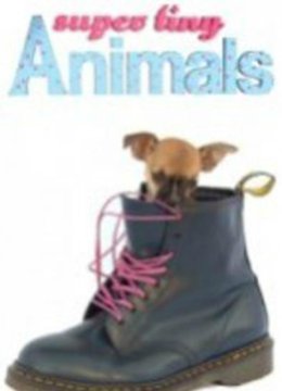 超级迷你动物