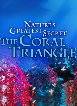大自然最大的秘密珊瑚三角区