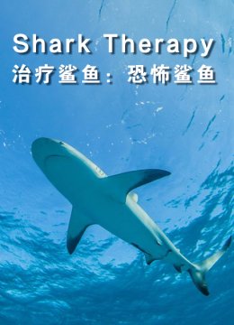 治疗鲨鱼恐怖鲨鱼