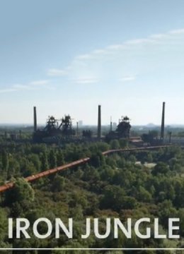 钢铁丛林