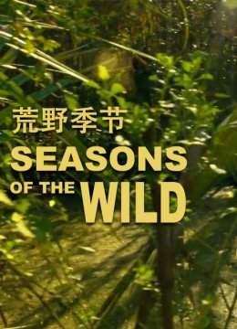 荒野季节第1季