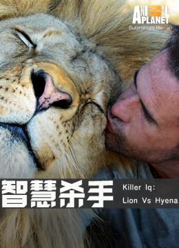 智慧杀手
