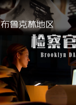 布鲁克林地区检察官