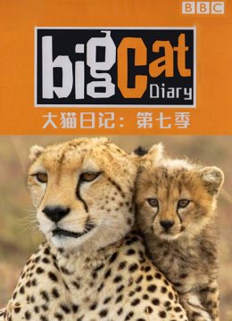 大猫日语记第7季