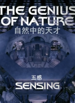 自然中的天才