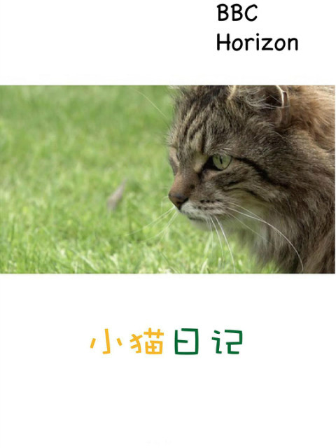 地平线系列小猫日语记