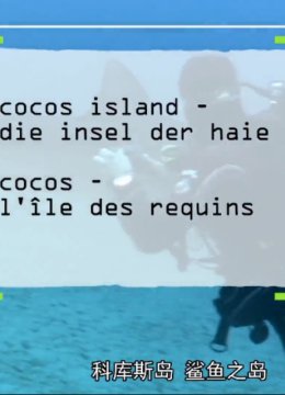 科库斯岛鲨鱼岛