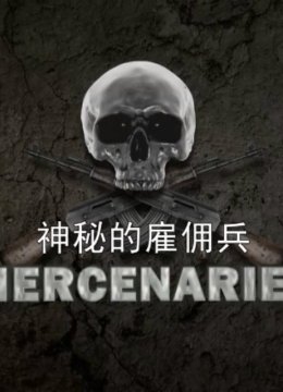 神秘雇佣兵