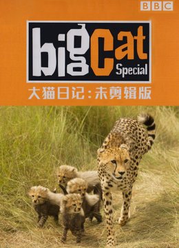 大猫日语记未剪辑版