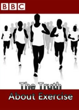 地平线系列锻炼的真相