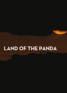熊猫之境
