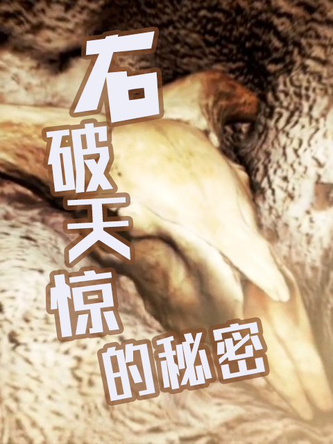 石破天惊的秘密