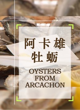 阿卡雄牡蛎