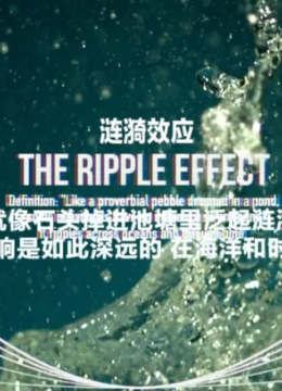 涟漪效应第1季
