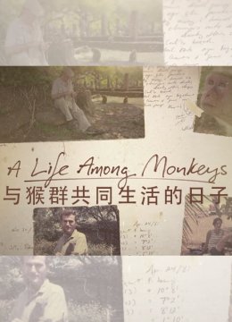 与猴群共同生活的日语子