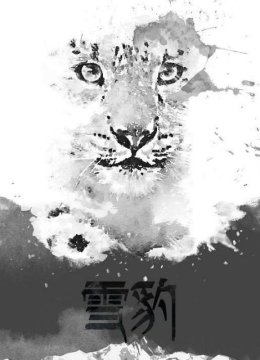 雪豹国际版