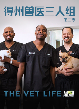 得州兽医三人组第2季